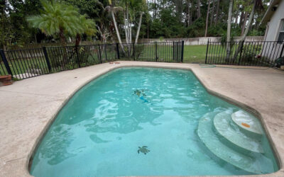 The Advantages of Consistent Pool Maintenance